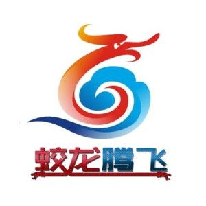 深圳市蛟龍騰飛網(wǎng)絡科技