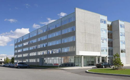 掛靠施工中，滿足特定條件即可直接向發包人主張工程款