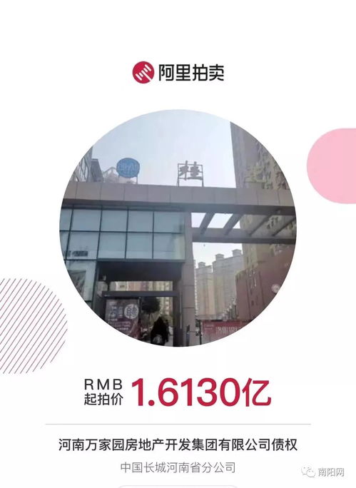 南陽知名房企項目突遭法拍 在建工程1.6億起拍，折射行業困境